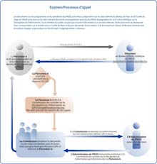 UNDP Review/Appeal Process