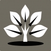 Environment and Climate Change